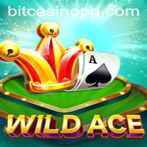 Unveiling WildAce: A Thrilling Adventure in the World of 885 Bet